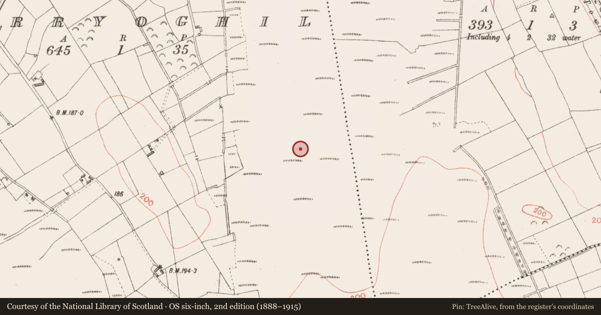 Ordnance Survey six-inch map, 2nd edition (1888–1915) covering the location of Structure - peatland, Derryoghil, County Longford, with a pin at the register's coordinates