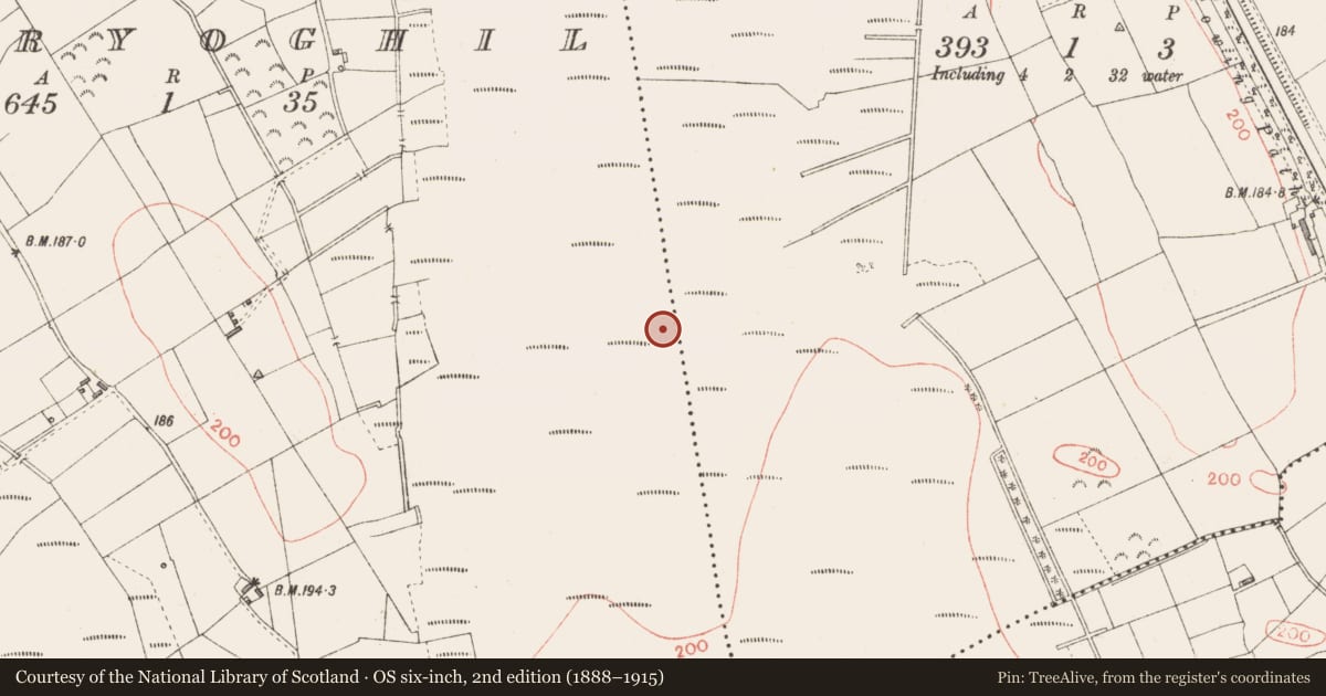 Ordnance Survey six-inch map, 2nd edition (1888–1915) covering the location of Road - class 3 togher, Derryoghil, County Longford, with a pin at the register's coordinates