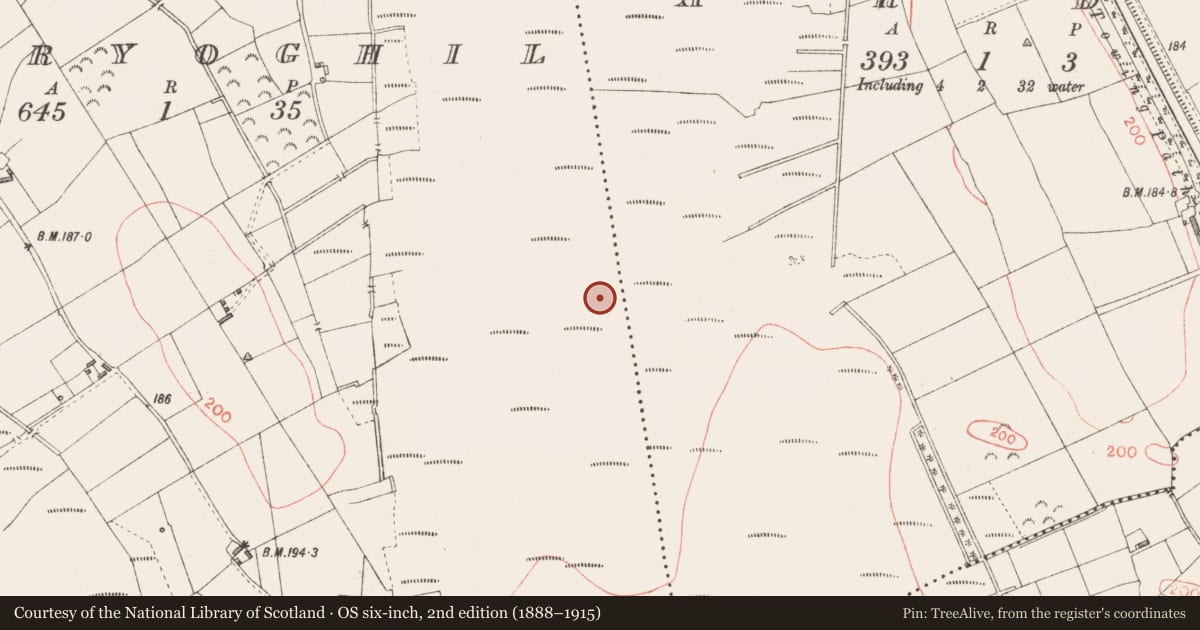 Ordnance Survey six-inch map, 2nd edition (1888–1915) covering the location of Road - class 3 togher, Derryoghil, County Longford, with a pin at the register's coordinates