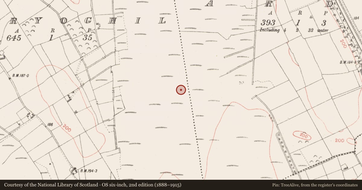 Ordnance Survey six-inch map, 2nd edition (1888–1915) covering the location of Road - class 3 togher, Derryoghil, County Longford, with a pin at the register's coordinates