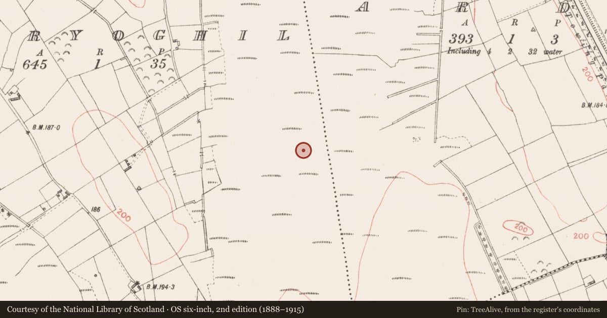 Ordnance Survey six-inch map, 2nd edition (1888–1915) covering the location of Road - class 1 togher, Ards, Derryoghil, County Longford, with a pin at the register's coordinates
