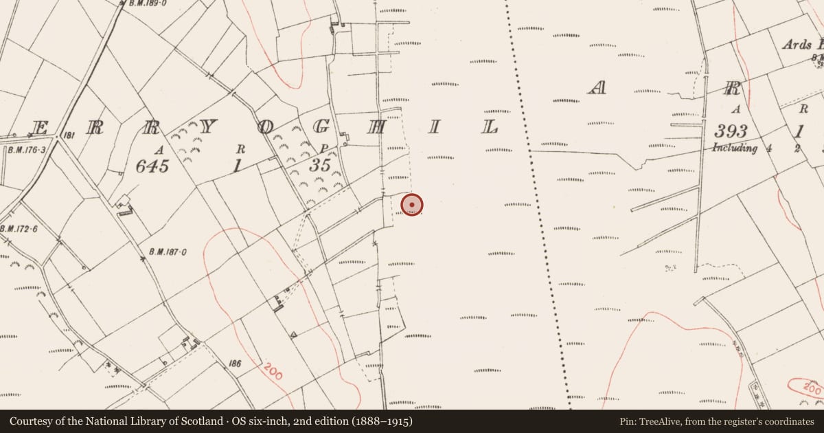 Ordnance Survey six-inch map, 2nd edition (1888–1915) covering the location of Road - class 2 togher, Derryoghil, County Longford, with a pin at the register's coordinates