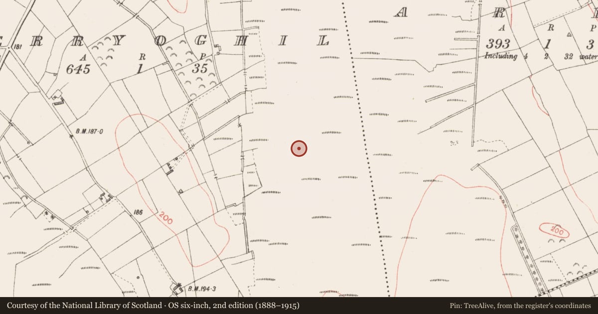 Ordnance Survey six-inch map, 2nd edition (1888–1915) covering the location of Road - class 3 togher, Derryoghil, County Longford, with a pin at the register's coordinates