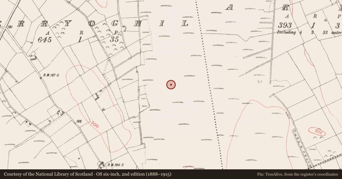 Ordnance Survey six-inch map, 2nd edition (1888–1915) covering the location of Road - class 3 togher, Derryoghil, County Longford, with a pin at the register's coordinates