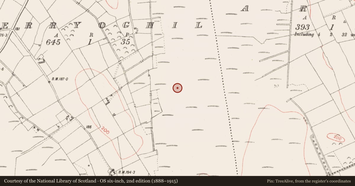 Ordnance Survey six-inch map, 2nd edition (1888–1915) covering the location of Road - class 2 togher, Derryoghil, County Longford, with a pin at the register's coordinates