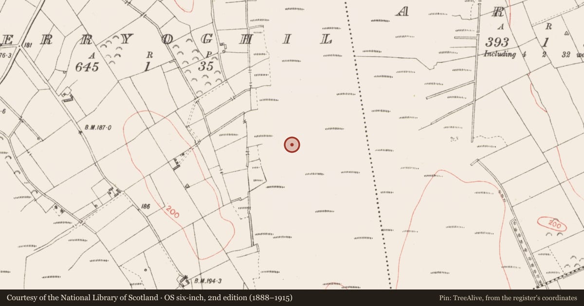 Ordnance Survey six-inch map, 2nd edition (1888–1915) covering the location of Road - class 2 togher, Derryoghil, County Longford, with a pin at the register's coordinates