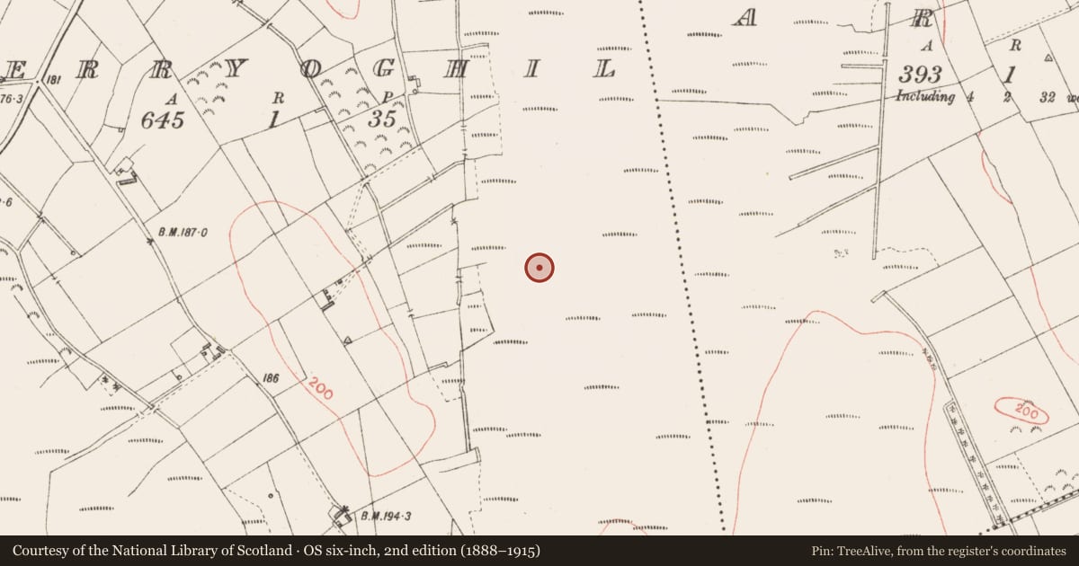 Ordnance Survey six-inch map, 2nd edition (1888–1915) covering the location of Road - class 3 togher, Derryoghil, County Longford, with a pin at the register's coordinates