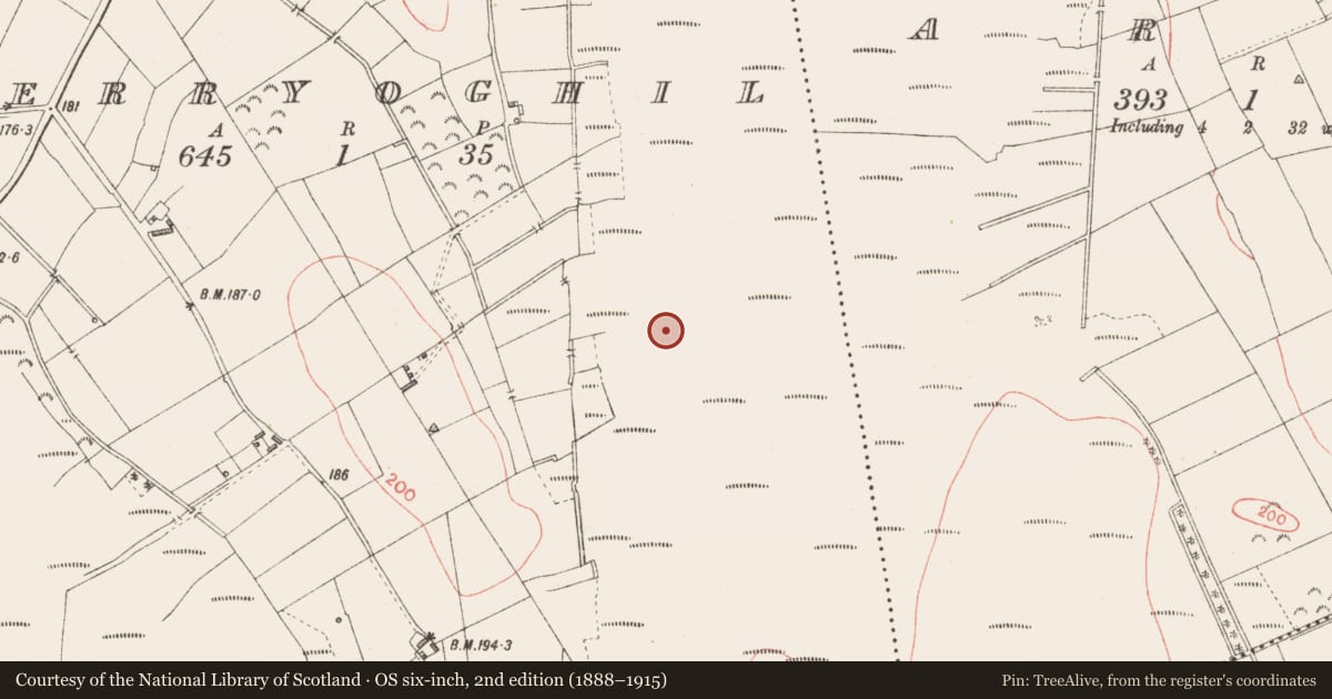 Ordnance Survey six-inch map, 2nd edition (1888–1915) covering the location of Road - class 3 togher, Derryoghil, County Longford, with a pin at the register's coordinates