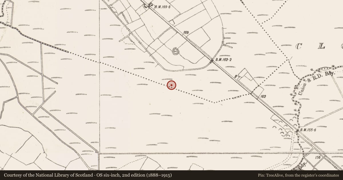 Ordnance Survey six-inch map, 2nd edition (1888–1915) covering the location of Road - class 3 togher, Derrygeel, County Longford, with a pin at the register's coordinates