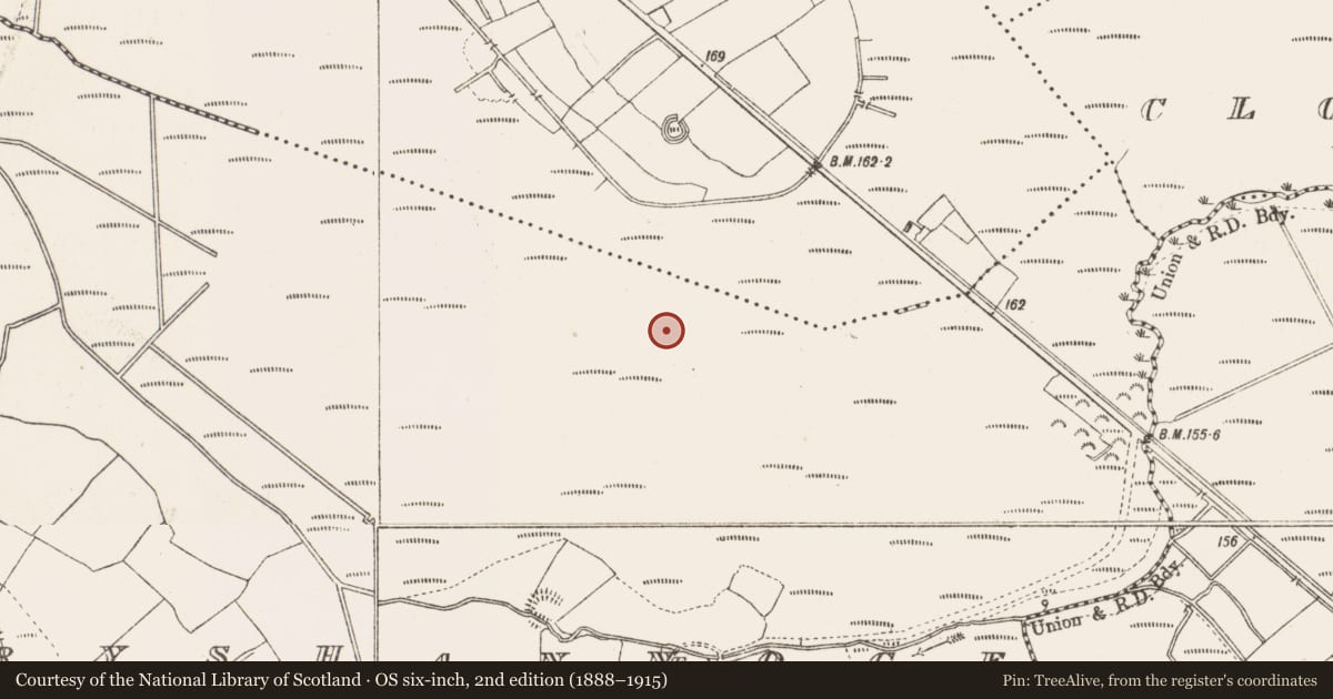 Ordnance Survey six-inch map, 2nd edition (1888–1915) covering the location of Road - class 3 togher, Derryshannoge, County Longford, with a pin at the register's coordinates