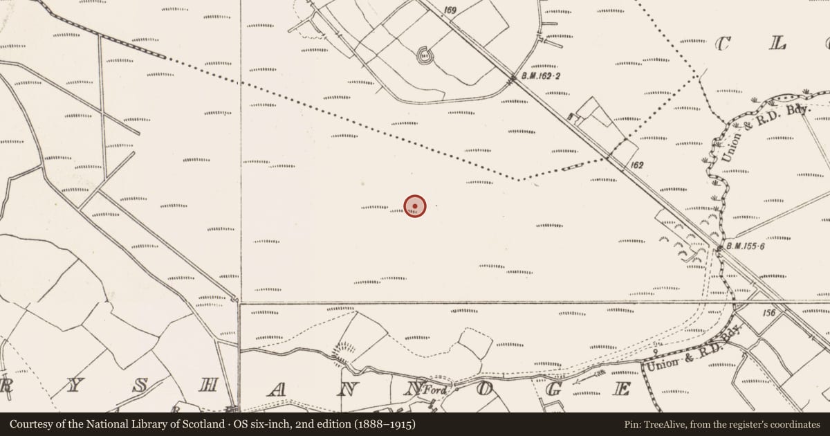 Ordnance Survey six-inch map, 2nd edition (1888–1915) covering the location of Road - class 3 togher, Derryshannoge, County Longford, with a pin at the register's coordinates