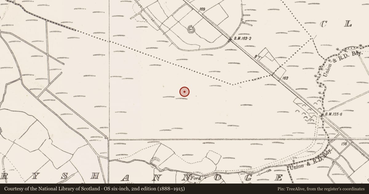 Ordnance Survey six-inch map, 2nd edition (1888–1915) covering the location of Road - class 3 togher, Derryshannoge, County Longford, with a pin at the register's coordinates