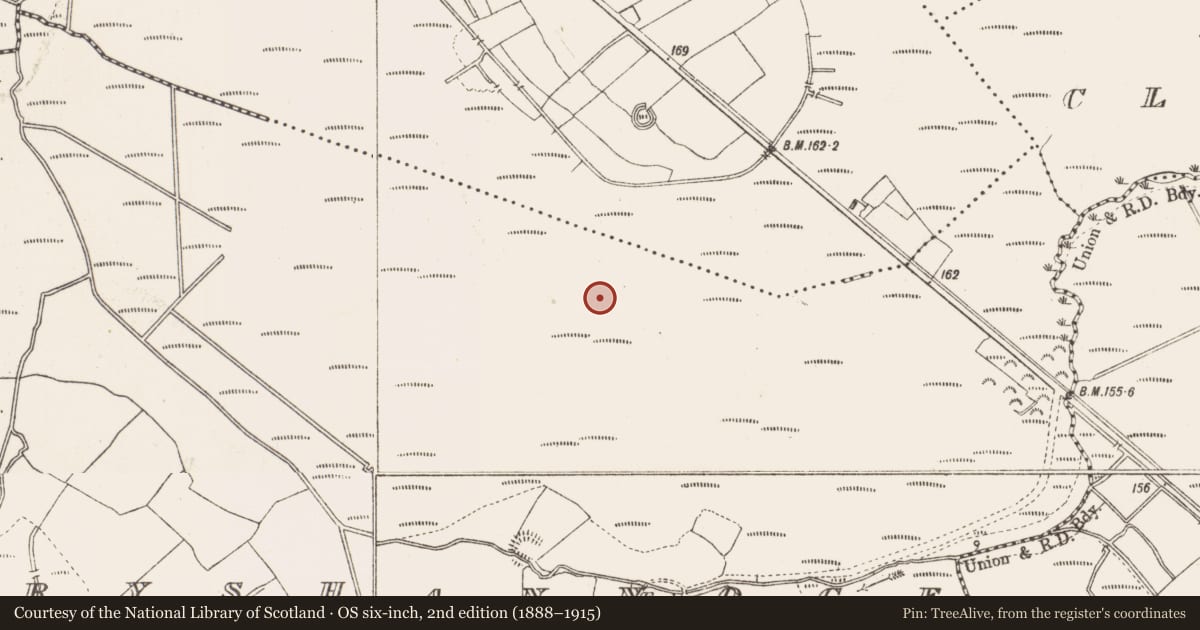 Ordnance Survey six-inch map, 2nd edition (1888–1915) covering the location of Road - class 3 togher, Derryshannoge, County Longford, with a pin at the register's coordinates