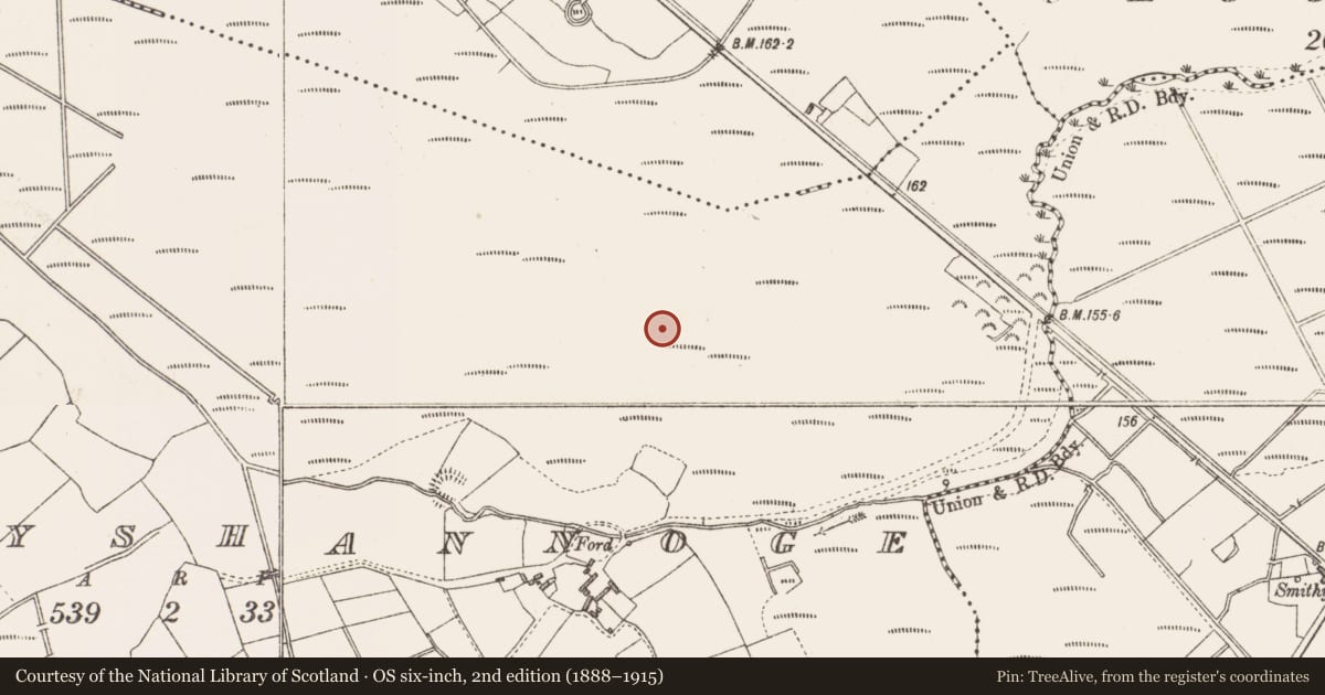 Ordnance Survey six-inch map, 2nd edition (1888–1915) covering the location of Post row - peatland, Derryshannoge, County Longford, with a pin at the register's coordinates