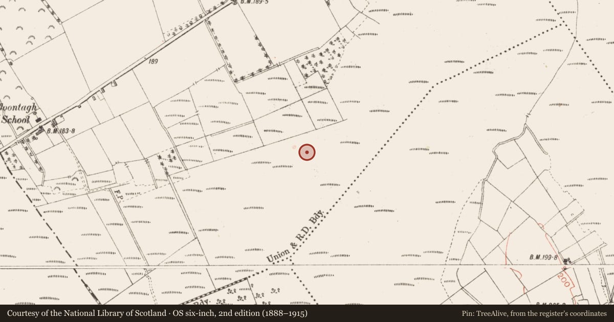 Ordnance Survey six-inch map, 2nd edition (1888–1915) covering the location of Road - class 2 togher, Cloontamore, County Longford, with a pin at the register's coordinates