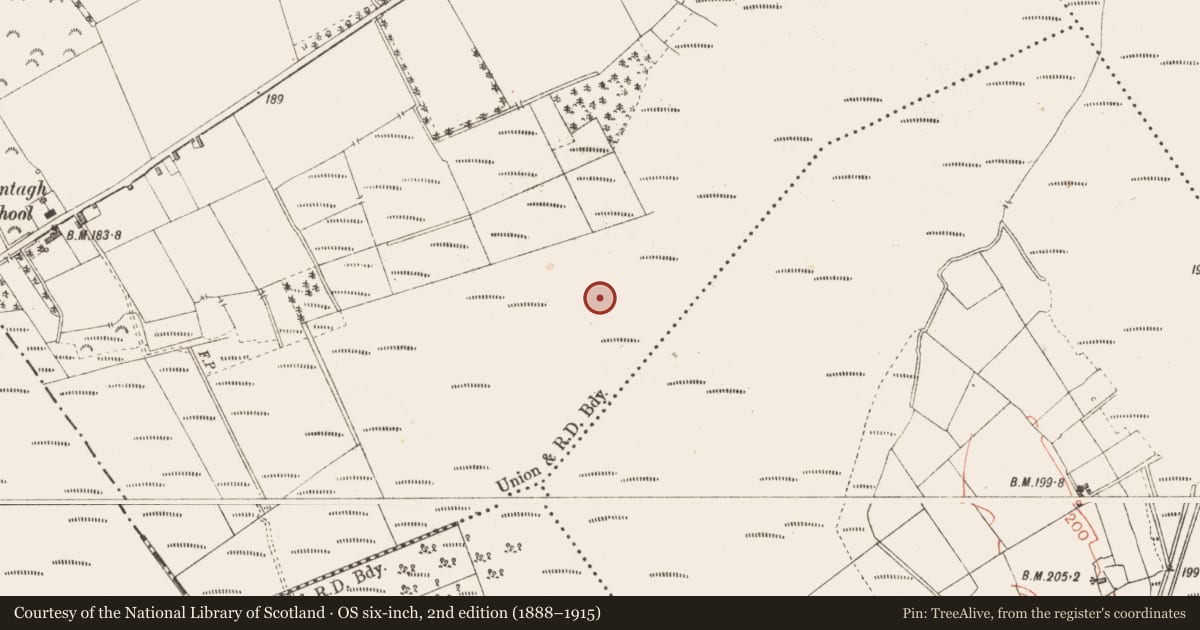 Ordnance Survey six-inch map, 2nd edition (1888–1915) covering the location of Road - class 3 togher, Cloontamore, County Longford, with a pin at the register's coordinates