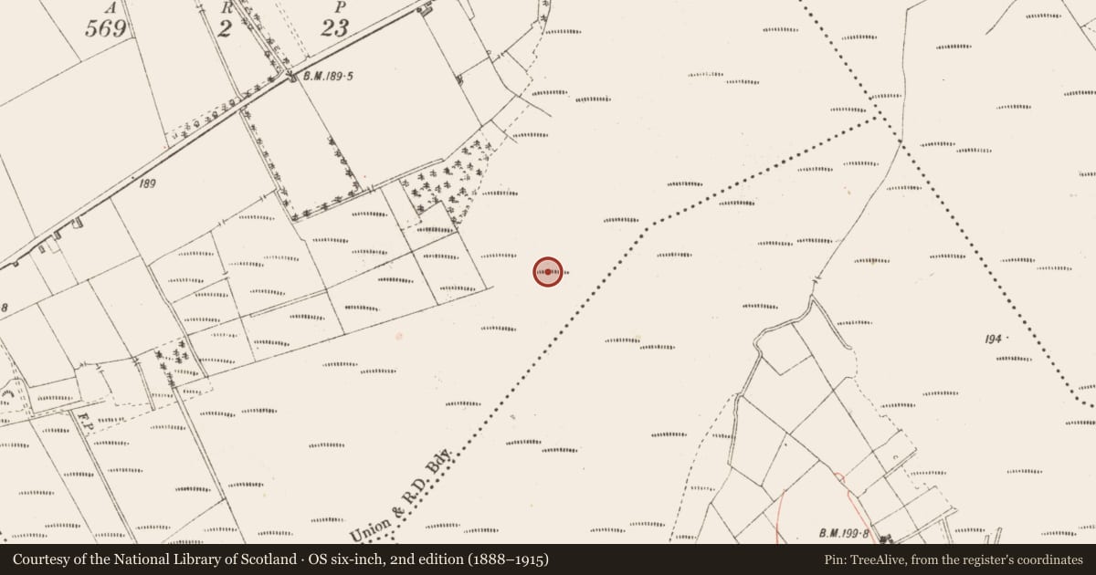 Ordnance Survey six-inch map, 2nd edition (1888–1915) covering the location of Road - class 3 togher, Cloontamore, County Longford, with a pin at the register's coordinates
