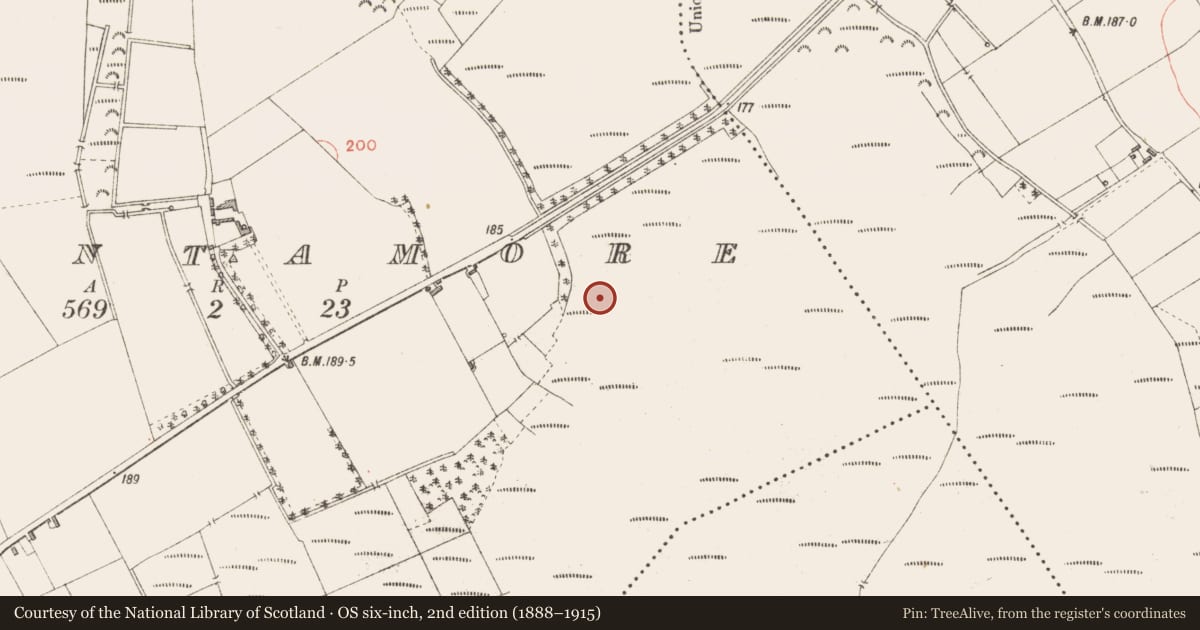 Ordnance Survey six-inch map, 2nd edition (1888–1915) covering the location of Road - class 2 togher, Cloontamore, County Longford, with a pin at the register's coordinates