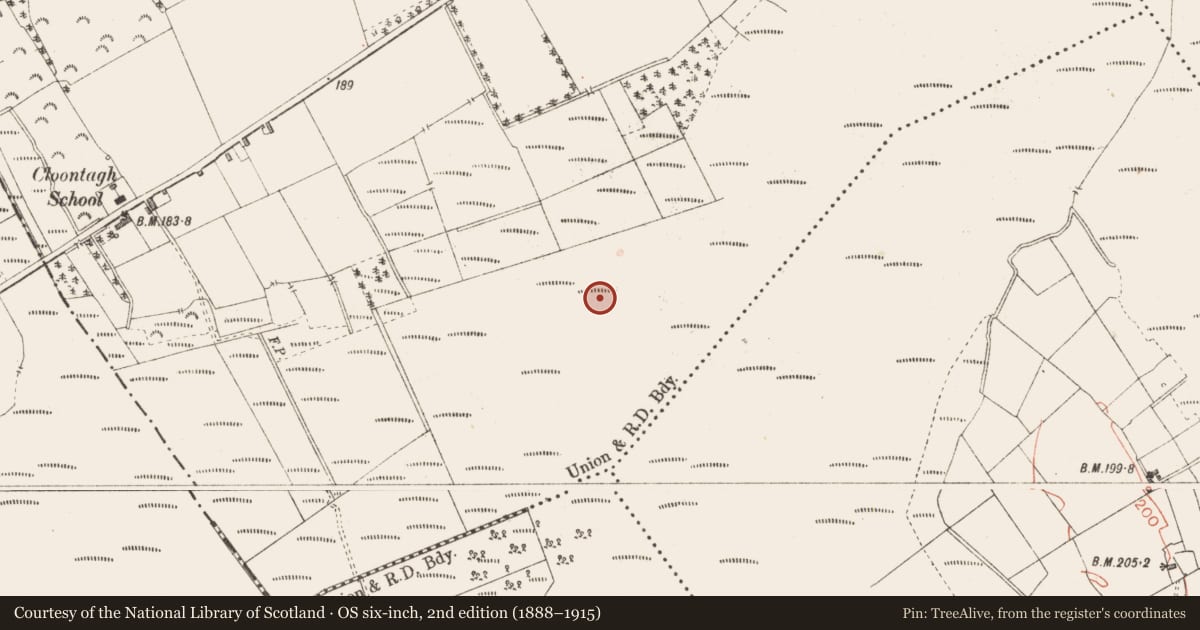 Ordnance Survey six-inch map, 2nd edition (1888–1915) covering the location of Road - class 3 togher, Cloontamore, County Longford, with a pin at the register's coordinates