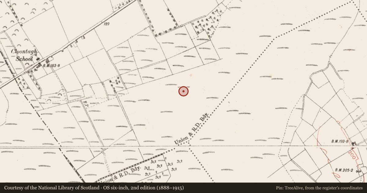 Ordnance Survey six-inch map, 2nd edition (1888–1915) covering the location of Road - class 3 togher, Cloontamore, County Longford, with a pin at the register's coordinates