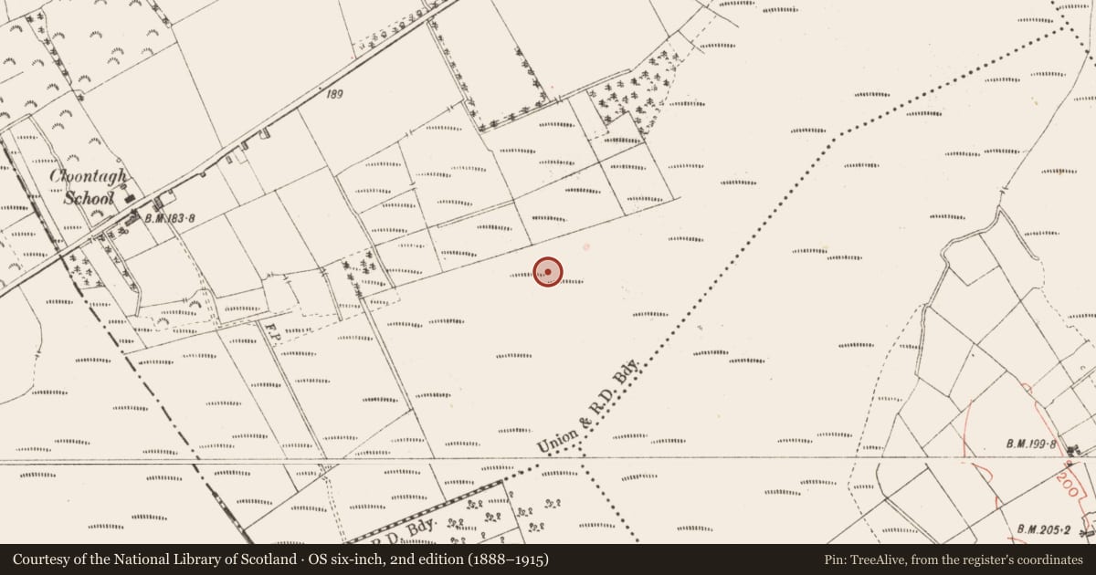 Ordnance Survey six-inch map, 2nd edition (1888–1915) covering the location of Road - class 3 togher, Cloontamore, County Longford, with a pin at the register's coordinates