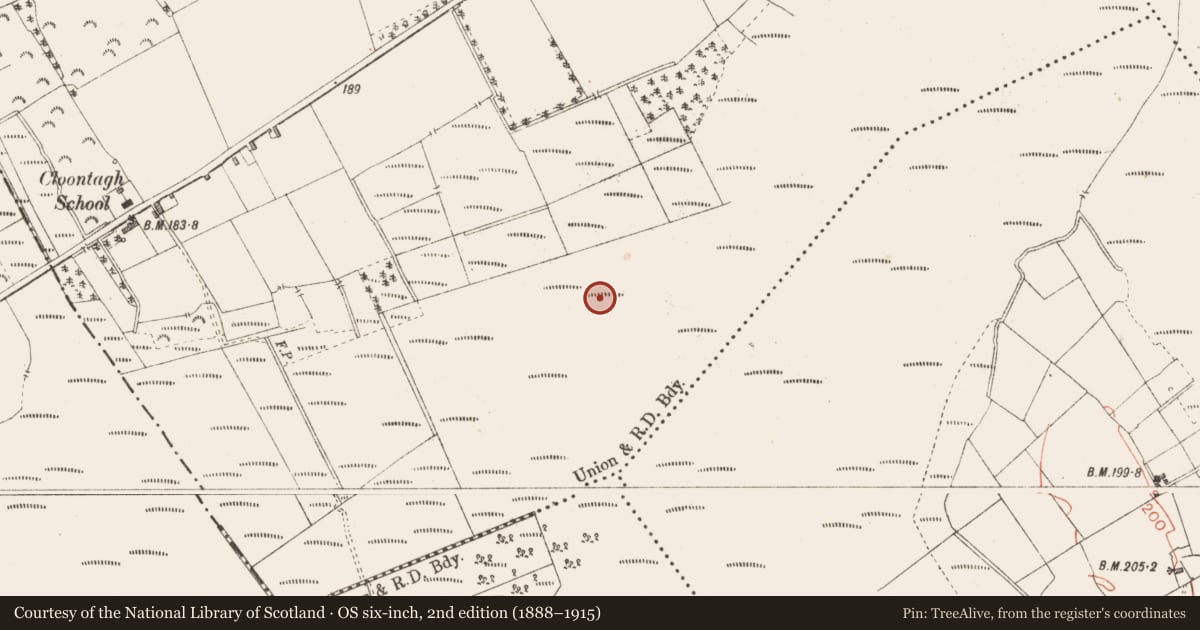 Ordnance Survey six-inch map, 2nd edition (1888–1915) covering the location of Road - class 3 togher, Cloontamore, County Longford, with a pin at the register's coordinates