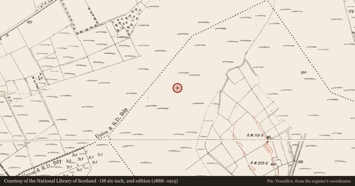 Ordnance Survey six-inch map, 2nd edition (1888–1915) covering the location of Road - class 2 togher, Derrynaskea, County Longford, with a pin at the register's coordinates