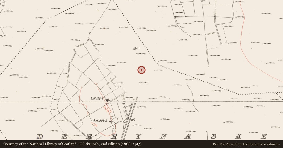 Ordnance Survey six-inch map, 2nd edition (1888–1915) covering the location of Road - class 2 togher, Derrynaskea, County Longford, with a pin at the register's coordinates