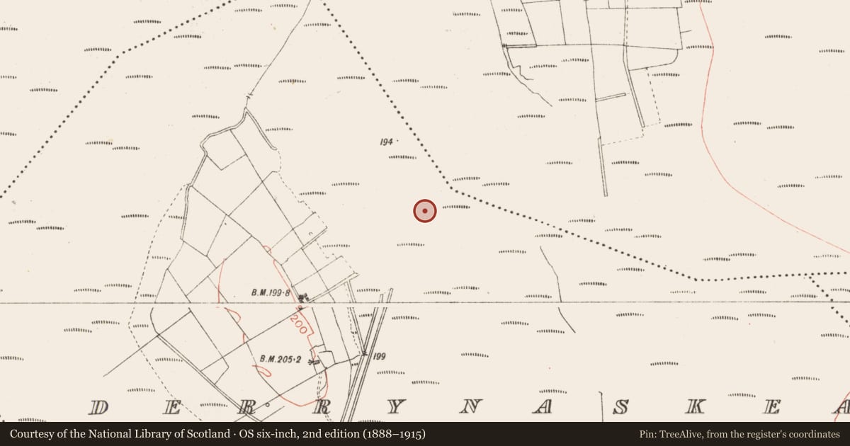 Ordnance Survey six-inch map, 2nd edition (1888–1915) covering the location of Road - class 3 togher, Derrynaskea, County Longford, with a pin at the register's coordinates