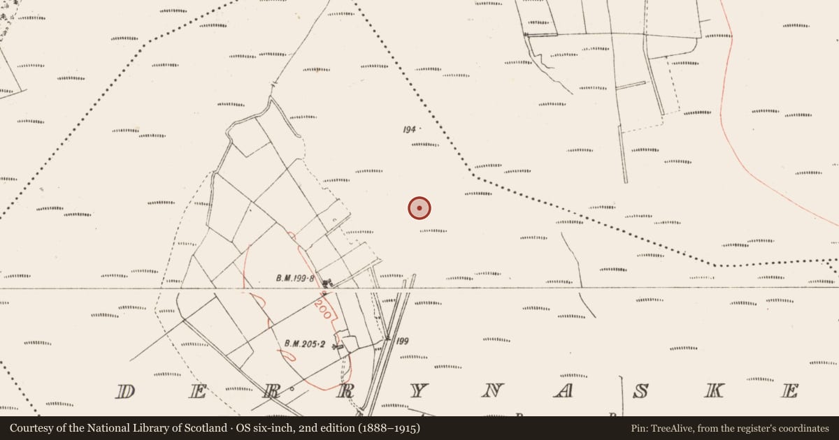 Ordnance Survey six-inch map, 2nd edition (1888–1915) covering the location of Road - class 2 togher, Derrynaskea, County Longford, with a pin at the register's coordinates