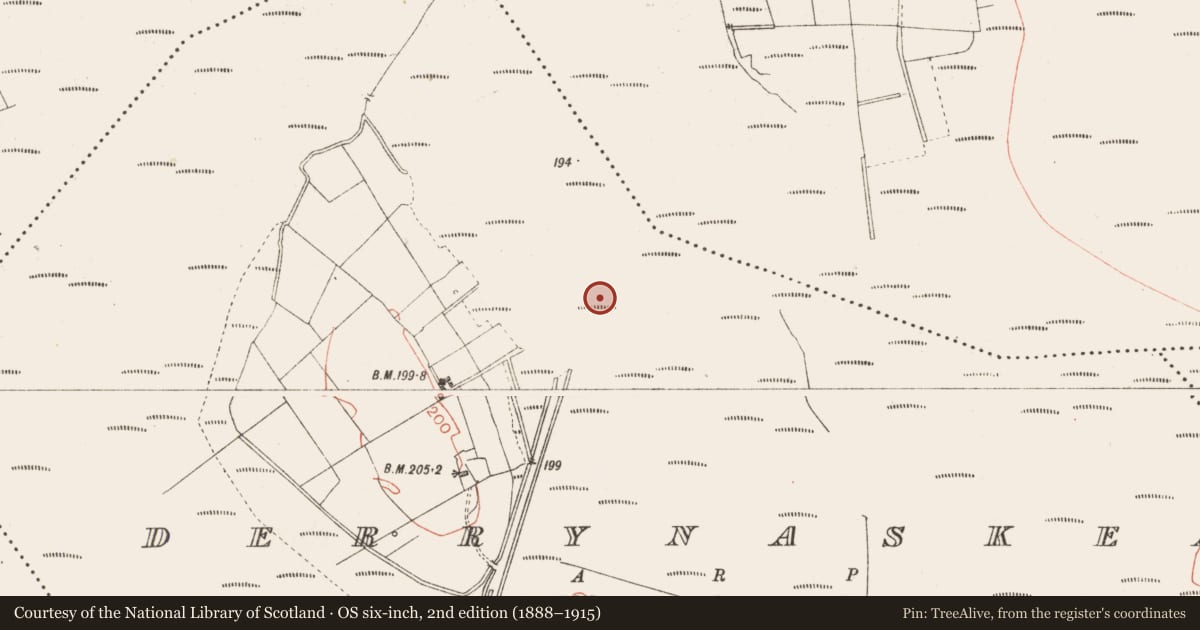Ordnance Survey six-inch map, 2nd edition (1888–1915) covering the location of Road - class 3 togher, Derrynaskea, County Longford, with a pin at the register's coordinates