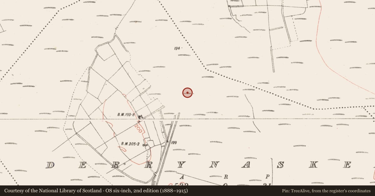 Ordnance Survey six-inch map, 2nd edition (1888–1915) covering the location of Road - class 3 togher, Derrynaskea, County Longford, with a pin at the register's coordinates