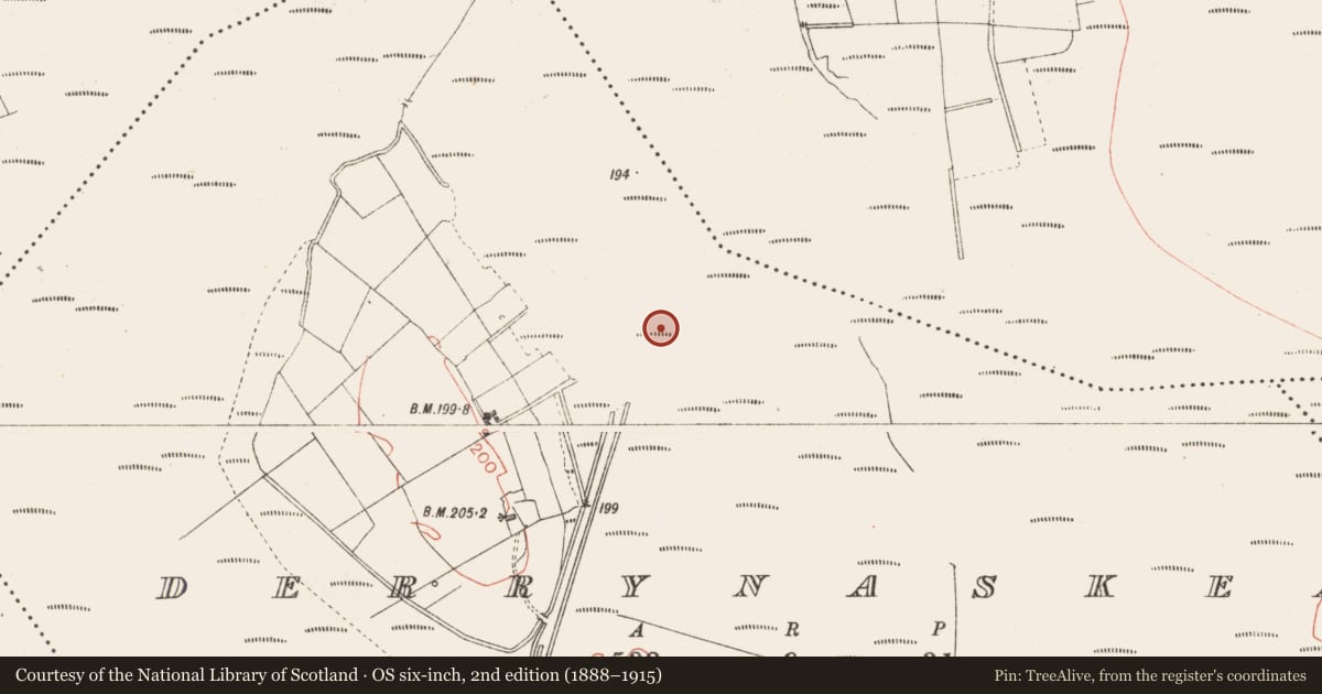Ordnance Survey six-inch map, 2nd edition (1888–1915) covering the location of Road - class 3 togher, Derrynaskea, County Longford, with a pin at the register's coordinates