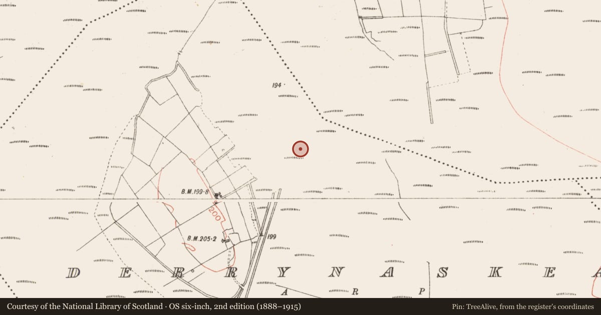 Ordnance Survey six-inch map, 2nd edition (1888–1915) covering the location of Road - class 3 togher, Derrynaskea, County Longford, with a pin at the register's coordinates