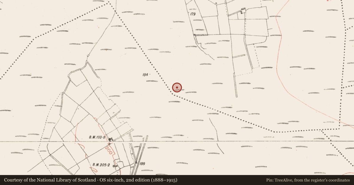 Ordnance Survey six-inch map, 2nd edition (1888–1915) covering the location of Road - class 2 togher, Derryoghil, County Longford, with a pin at the register's coordinates