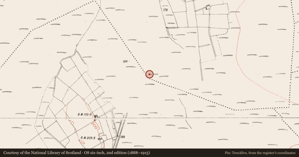 Ordnance Survey six-inch map, 2nd edition (1888–1915) covering the location of Road - class 2 togher, Derryoghil, County Longford, with a pin at the register's coordinates