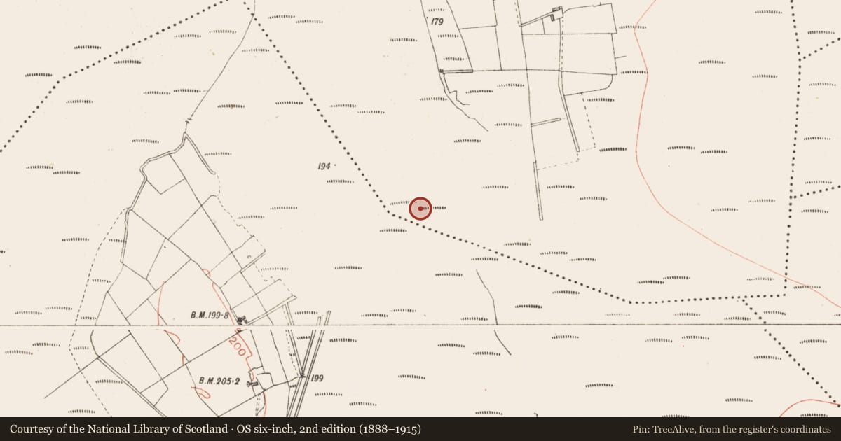 Ordnance Survey six-inch map, 2nd edition (1888–1915) covering the location of Road - class 2 togher, Derryoghil, County Longford, with a pin at the register's coordinates