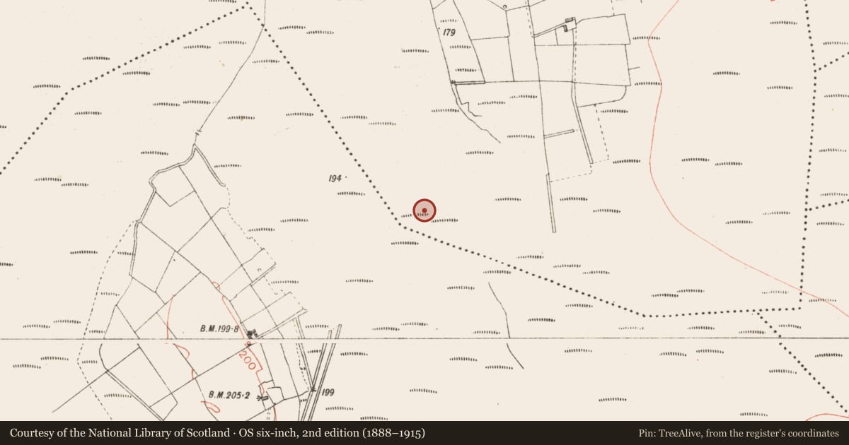 Ordnance Survey six-inch map, 2nd edition (1888–1915) covering the location of Road - class 2 togher, Derryoghil, County Longford, with a pin at the register's coordinates
