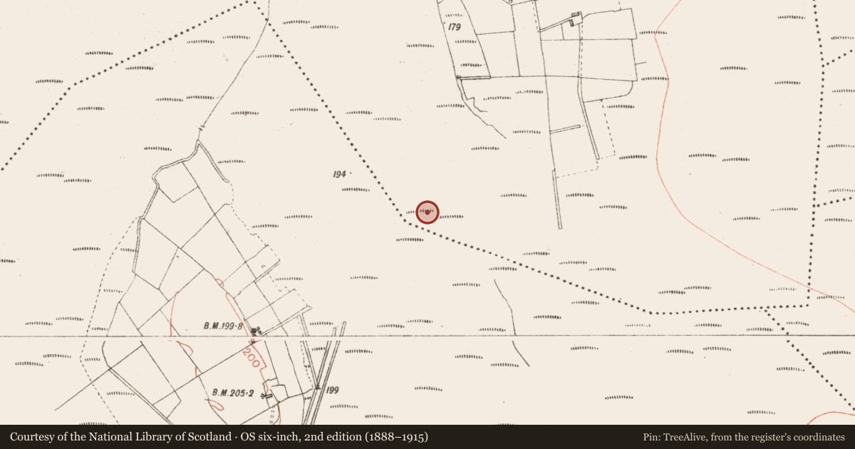 Ordnance Survey six-inch map, 2nd edition (1888–1915) covering the location of Road - class 3 togher, Derryoghil, County Longford, with a pin at the register's coordinates