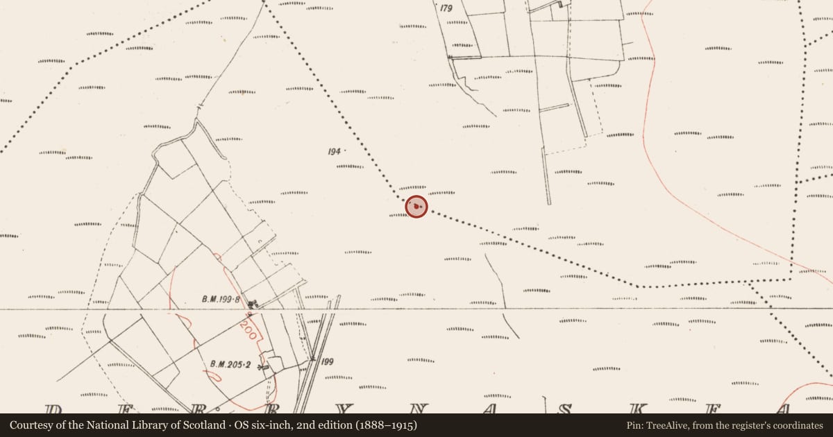 Ordnance Survey six-inch map, 2nd edition (1888–1915) covering the location of Road - class 3 togher, Derryoghil, County Longford, with a pin at the register's coordinates