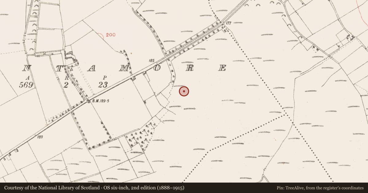 Ordnance Survey six-inch map, 2nd edition (1888–1915) covering the location of Road - class 2 togher, Cloontamore, County Longford, with a pin at the register's coordinates