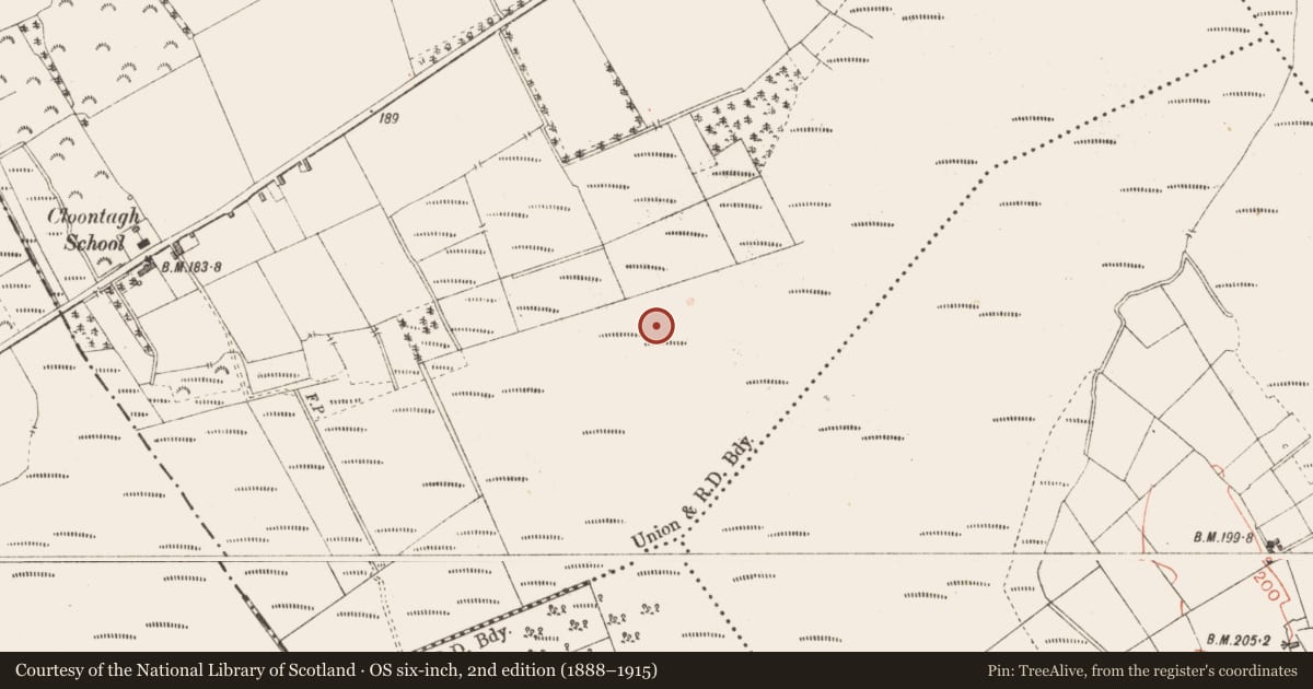 Ordnance Survey six-inch map, 2nd edition (1888–1915) covering the location of Road - class 2 togher, Cloontamore, County Longford, with a pin at the register's coordinates