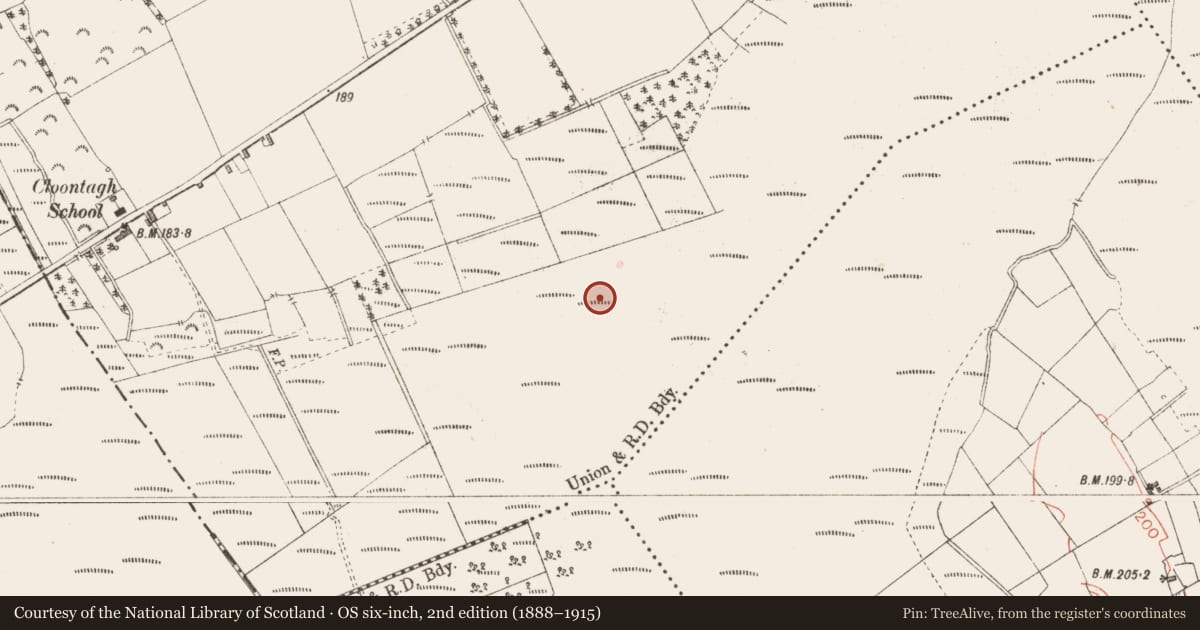 Ordnance Survey six-inch map, 2nd edition (1888–1915) covering the location of Road - class 2 togher, Cloontamore, County Longford, with a pin at the register's coordinates