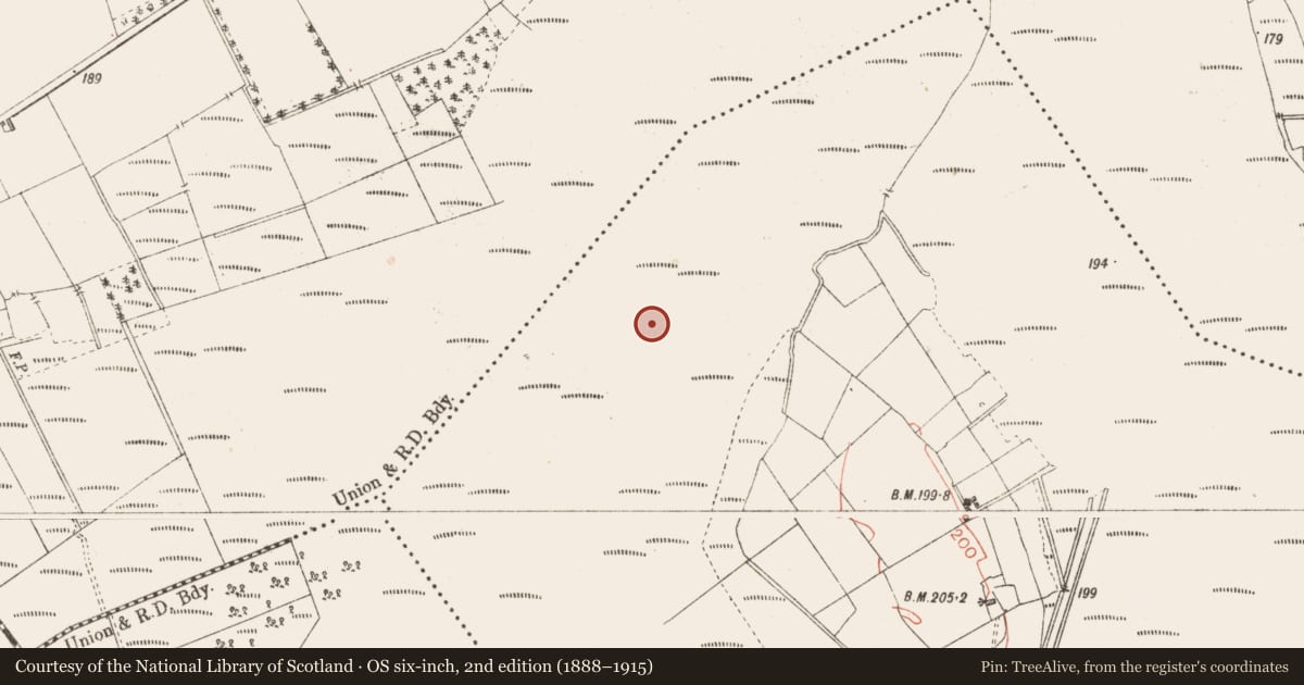 Ordnance Survey six-inch map, 2nd edition (1888–1915) covering the location of Road - class 2 togher, Derrynaskea, County Longford, with a pin at the register's coordinates