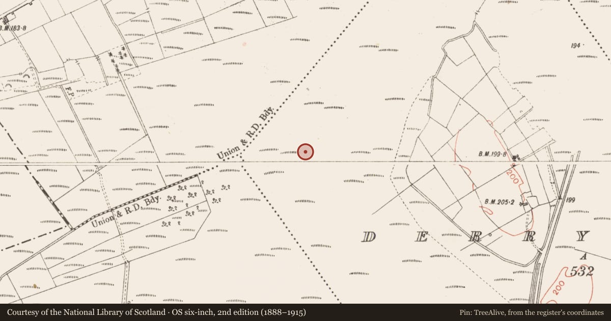 Ordnance Survey six-inch map, 2nd edition (1888–1915) covering the location of Road - class 2 togher, Derrynaskea, County Longford, with a pin at the register's coordinates