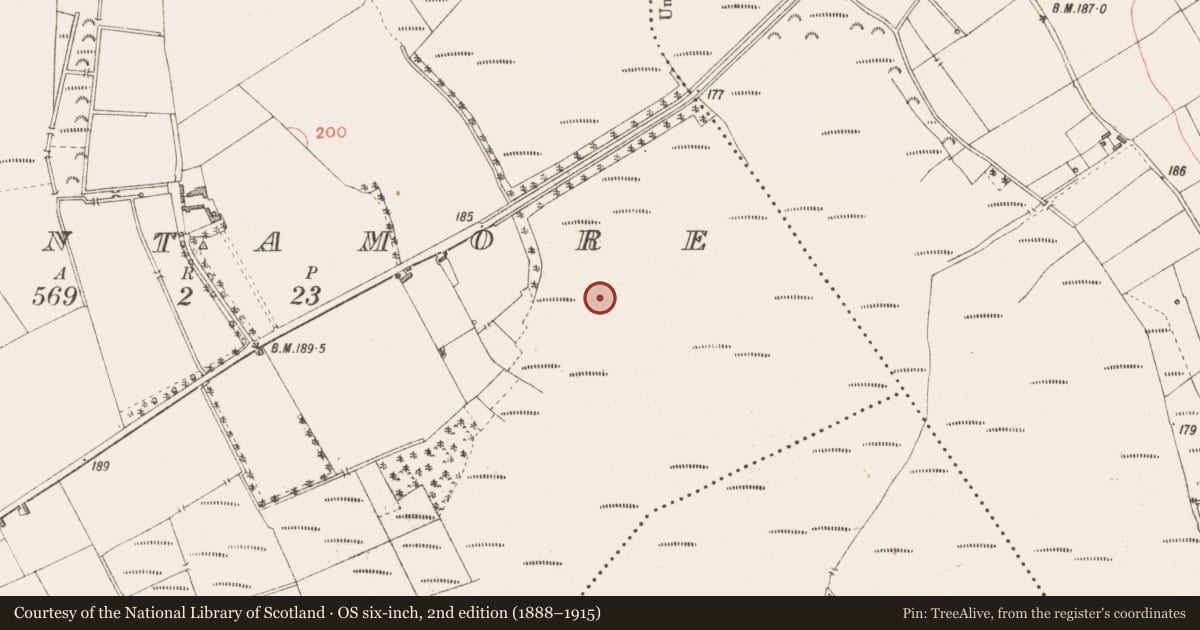 Ordnance Survey six-inch map, 2nd edition (1888–1915) covering the location of Road - class 3 togher, Cloontamore, County Longford, with a pin at the register's coordinates