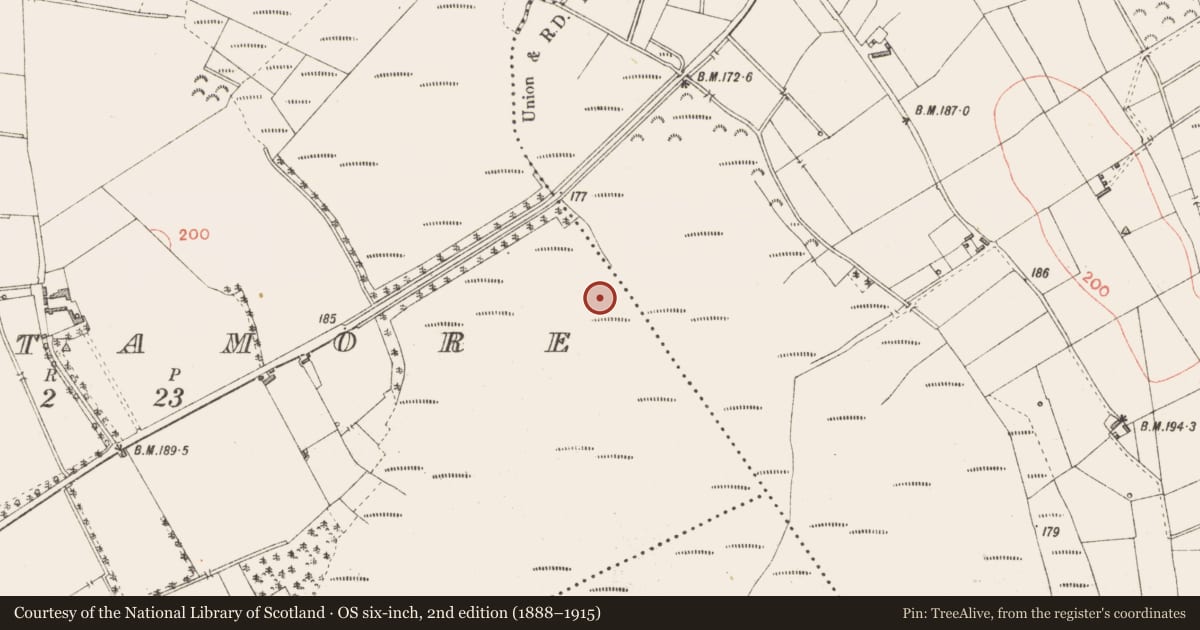Ordnance Survey six-inch map, 2nd edition (1888–1915) covering the location of Road - class 3 togher, Cloontamore, County Longford, with a pin at the register's coordinates