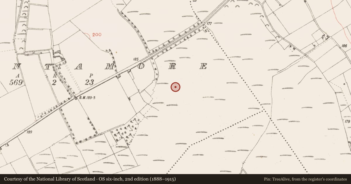 Ordnance Survey six-inch map, 2nd edition (1888–1915) covering the location of Road - class 3 togher, Cloontamore, County Longford, with a pin at the register's coordinates