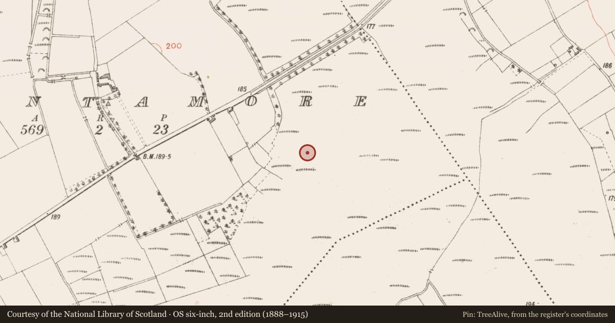 Ordnance Survey six-inch map, 2nd edition (1888–1915) covering the location of Road - class 3 togher, Cloontamore, County Longford, with a pin at the register's coordinates