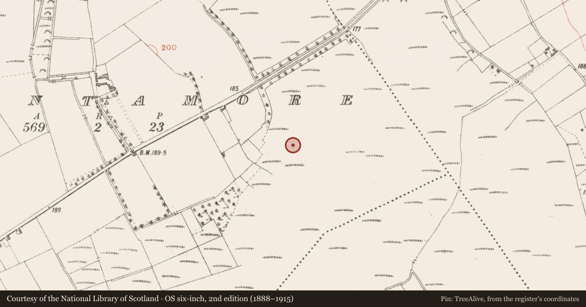 Ordnance Survey six-inch map, 2nd edition (1888–1915) covering the location of Road - class 3 togher, Cloontamore, County Longford, with a pin at the register's coordinates